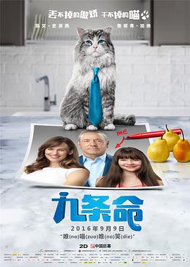 2020看剧网理论